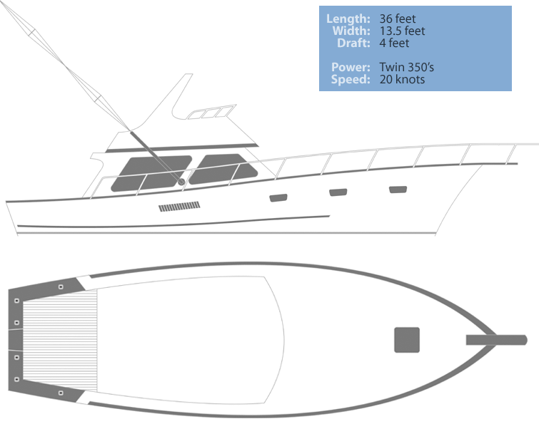 Charter Boat - The Angler
