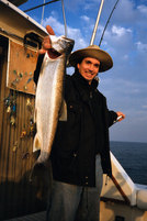 Big Lake Trout caught in Lake Michigan. 