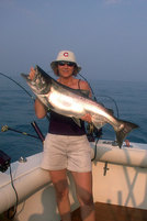 Nice King Salmon (approximately 23 pounds).