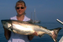 Big King Salmon.