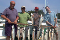 A rack of Cohos and one Laker (Lake Trout).