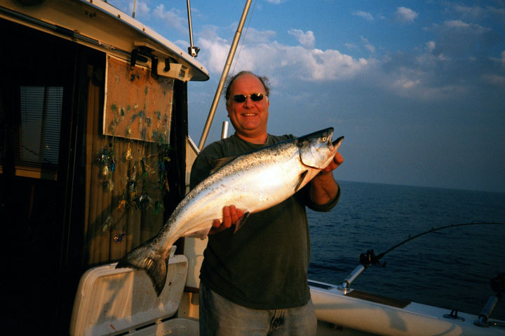 Big King Salmon caught on Lake Michigan.