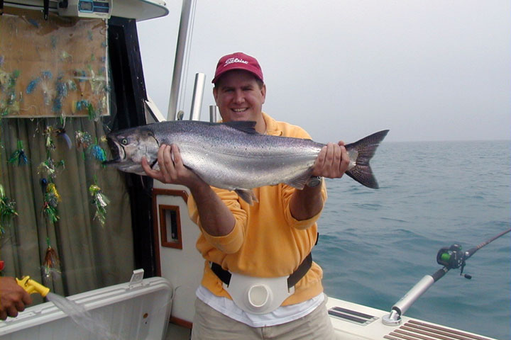 Big Salmon caught in Lake Michigan.